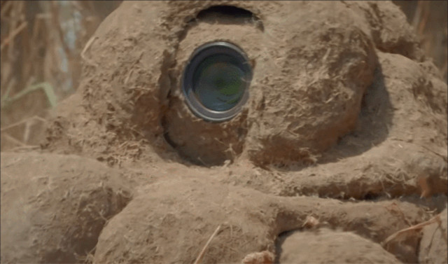 BBC得多有钱?为*窥偷**愣是做了一堆超逼真假动物,真实到被求交配