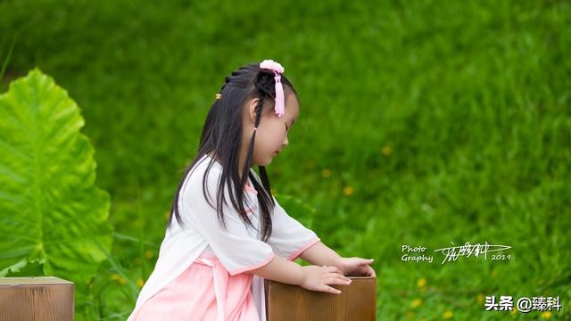 中国风女装复古气质改良汉服裙子,襦裙中国风汉服套装大码女装