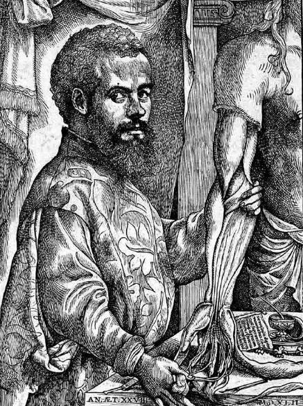 文艺复兴在打破神学的意义,欧洲文艺复兴科学