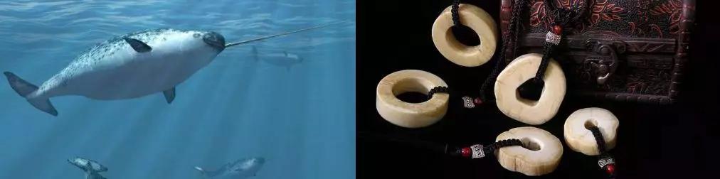 一辈子都不能碰的七种文玩,这10种文玩都是违禁品最好别碰