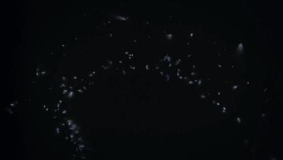 夜半*拍偷**下,成就今年第一部神级纪录片:黑暗下的生命,超乎想象