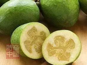 世界稀奇水果品种大全,世界热带奇特水果品种介绍