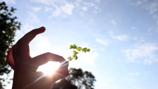 人怎样才有上进心,怎样才算上进心强的男人