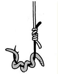 挂钓饵的正常方式简单又实用,挂饵的技巧和方法