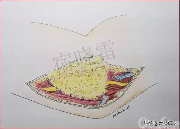 手绘科普类,手绘类科普