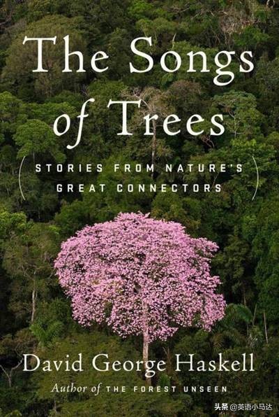 不可错过的200本经典网络小说,不可错过的书籍