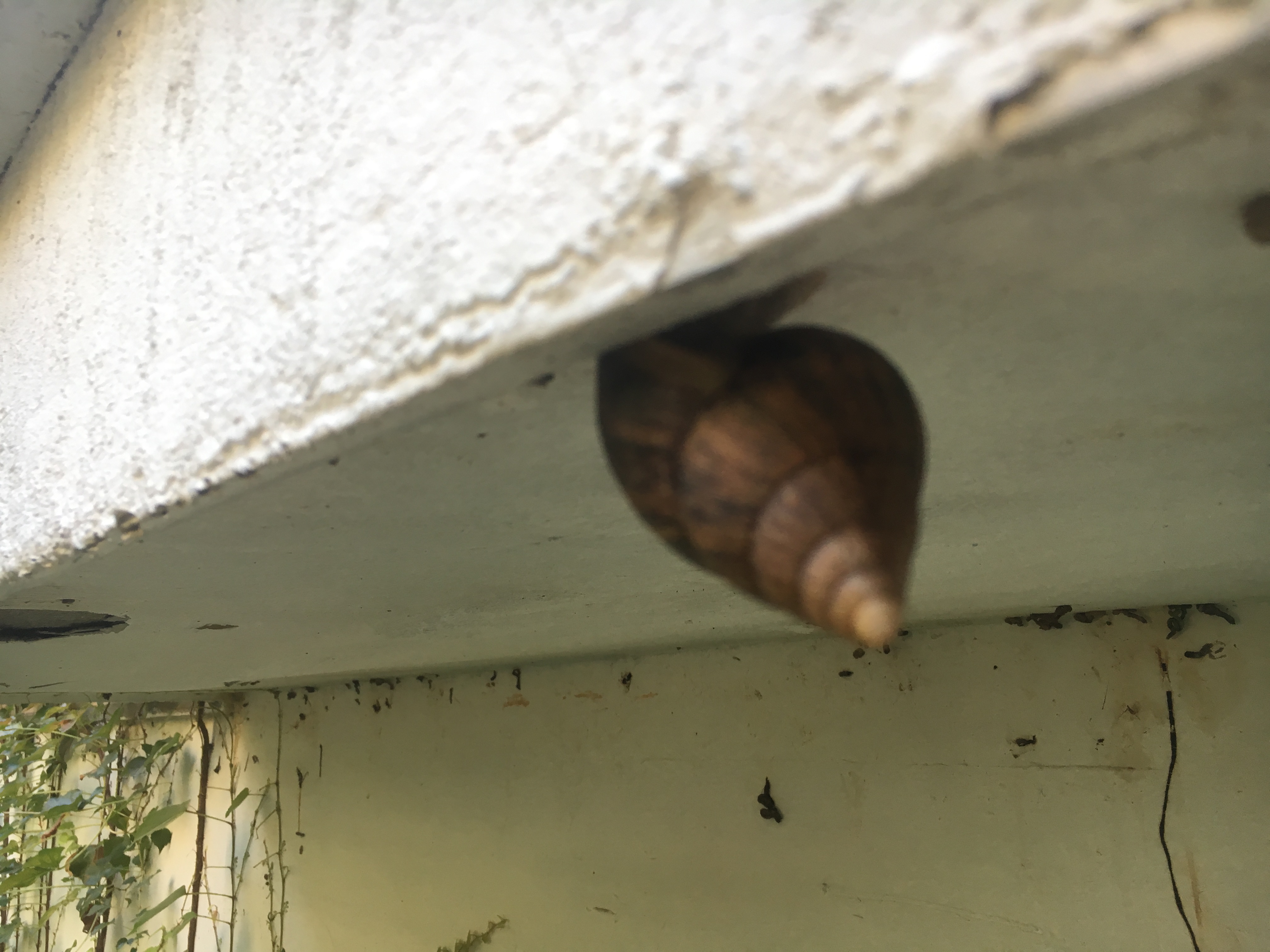 一日之计在于晨完整的古诗下一句,一日之计在于晨完整的古诗视频