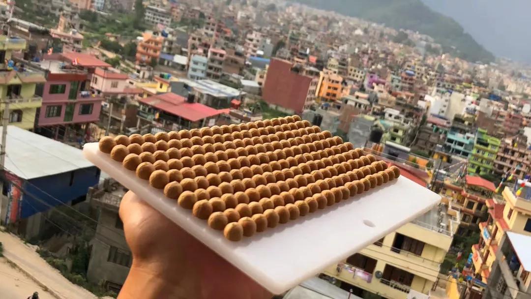 巧克力色的凤眼能盘成牛津红吗,为什么有的凤眼盘不红