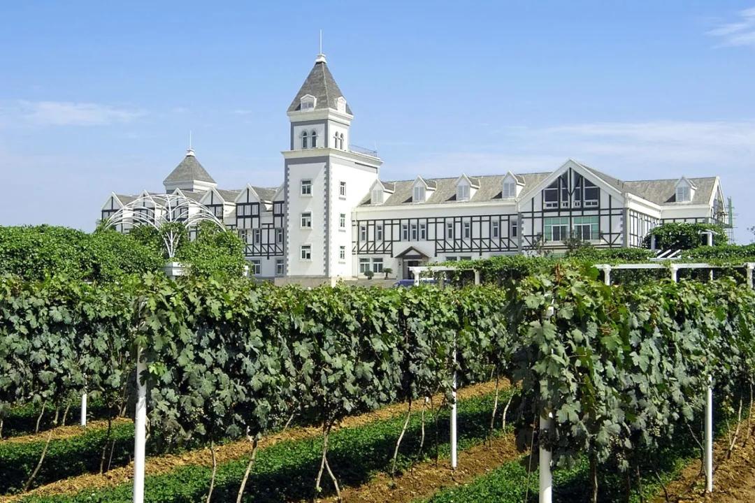 不吃不知道，这座海滨城市就是北方的顺德啊