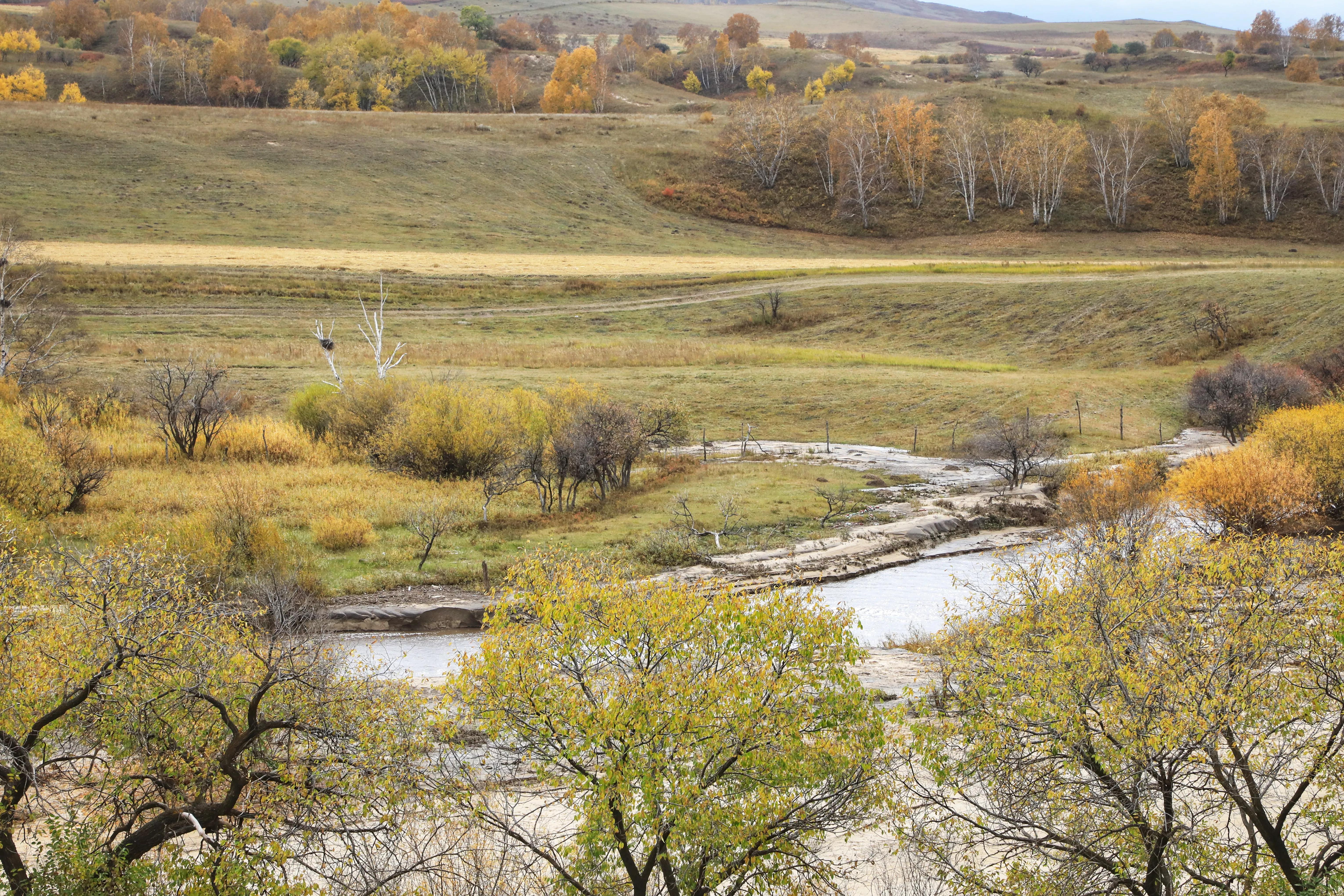 坝上秋色草原,坝上草原游记作文