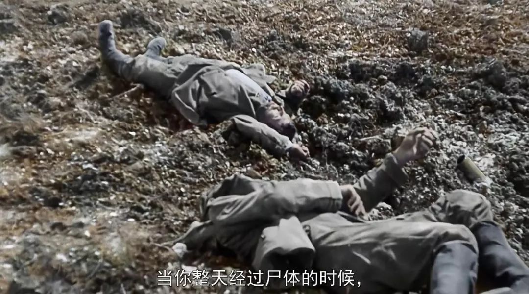 最近上映的电影豆瓣,最近上映的院线电影豆瓣评分