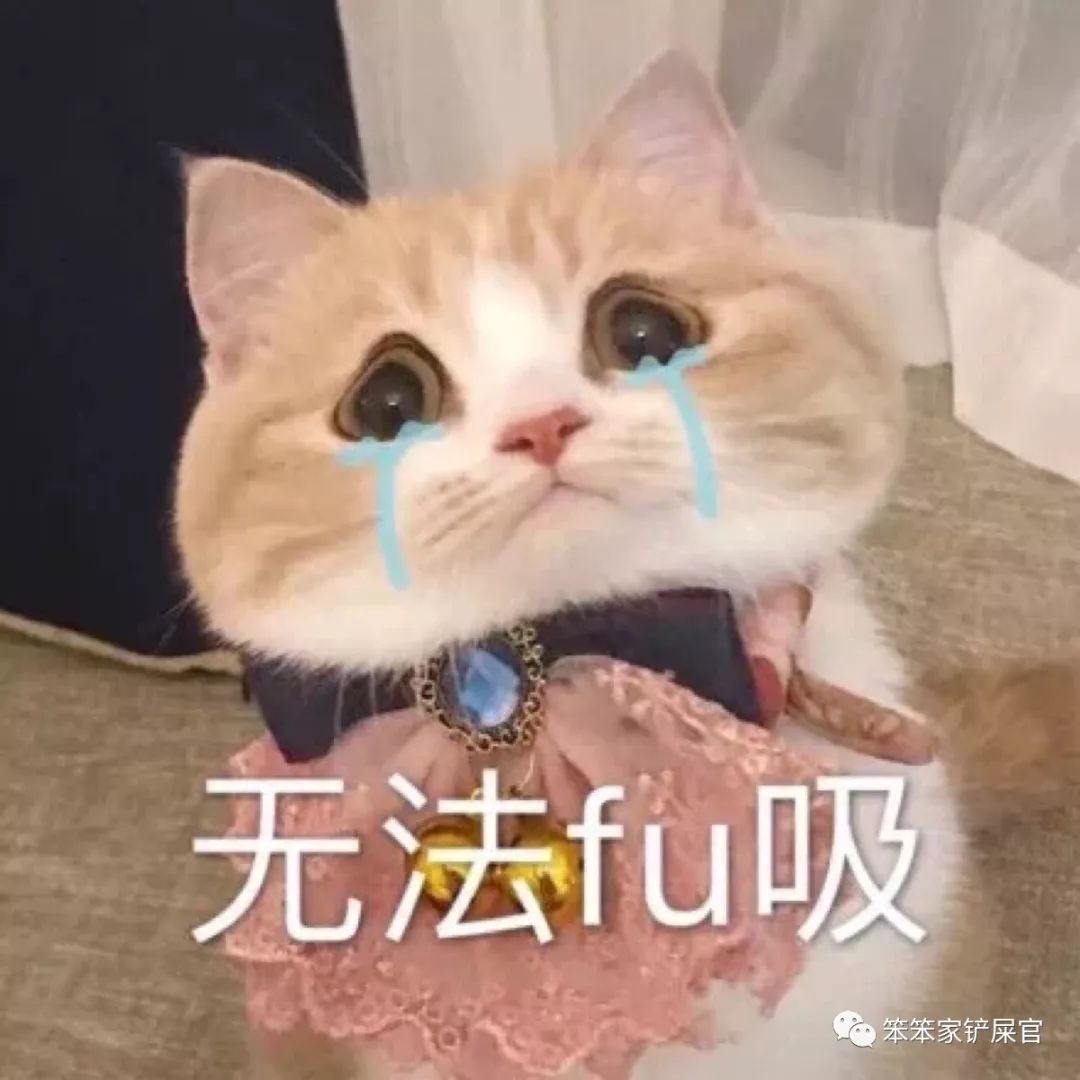 猫咪做了过敏原检测脱敏需要多久,猫咪容易过敏吃什么猫粮