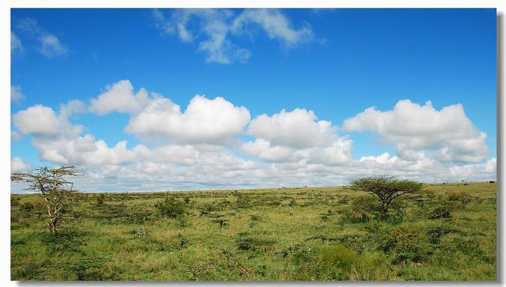 驻外工作：肯尼亚值得选择吗？