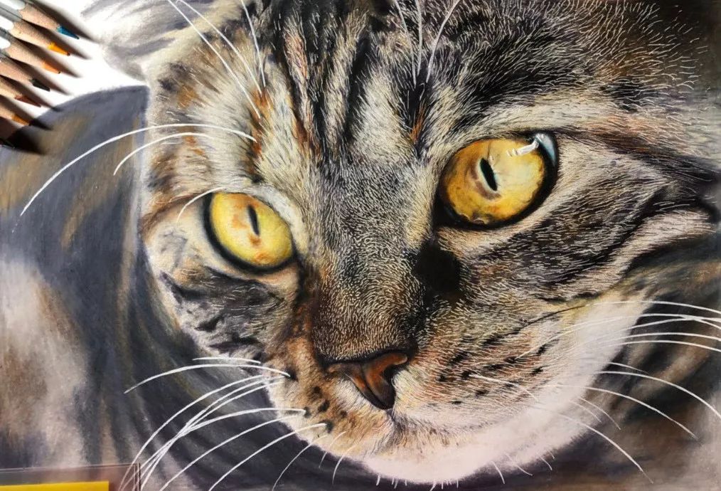 失明女孩铅笔画,保护视力守护心灵素描画