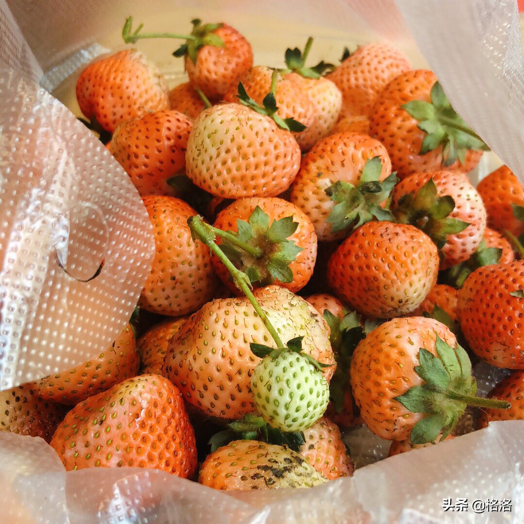 昆明美食二日游自由行攻略,昆明周末休闲吃喝玩乐一日游