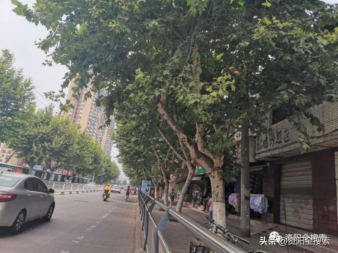 资阳和平路又到了飘“毛毛雨”的时候