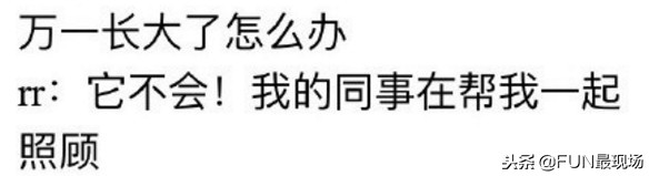 井柏然抖音小猪,井柏然给白敬亭送小猪佩奇