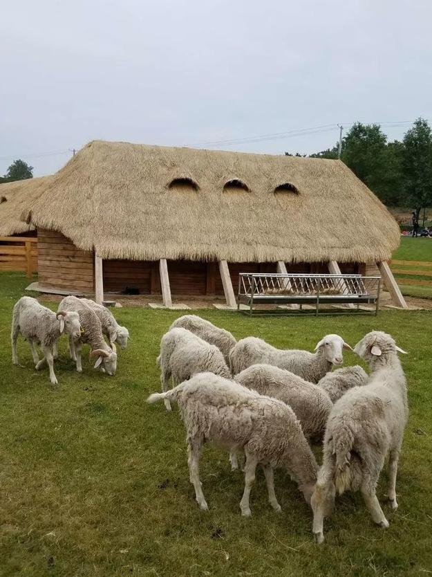 大连普兰店小众景点,大连免费的景点推荐