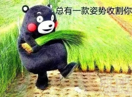 游戏托和真欧皇的区别,什么游戏托好用