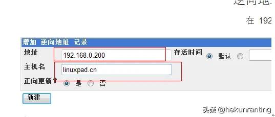 智能dns系统搭建,公司内网搭建dns服务器