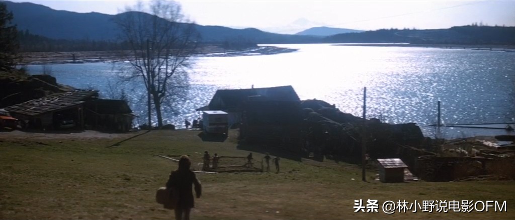 第一滴血是什么题材的电影,第一滴血最后一滴血完整版