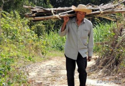 借米不借柴借衣不借鞋真现实,借米不借柴说法