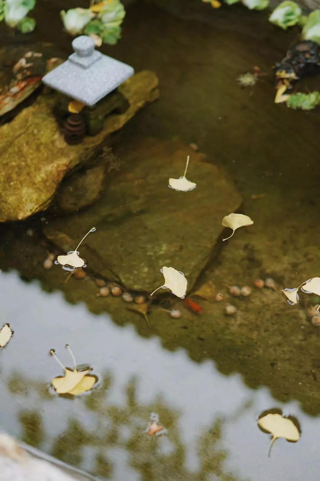 汉服体验打卡,免费体验汉服