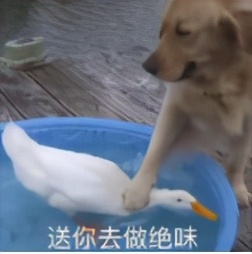 荒谬的不止HM，还有把棉花当风口的人