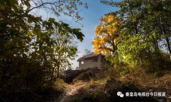 秦皇岛最早的楼房,秦皇岛十大闹市区