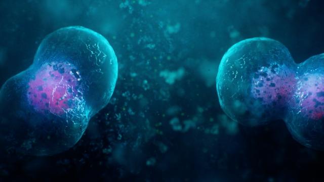 各种蒙太奇的电影例子,雅马哈蒙太奇montage7使用方法