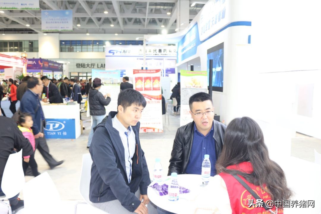 吃得多、出栏快、不拉稀，新希望六和教你金猪行情下抢占先机