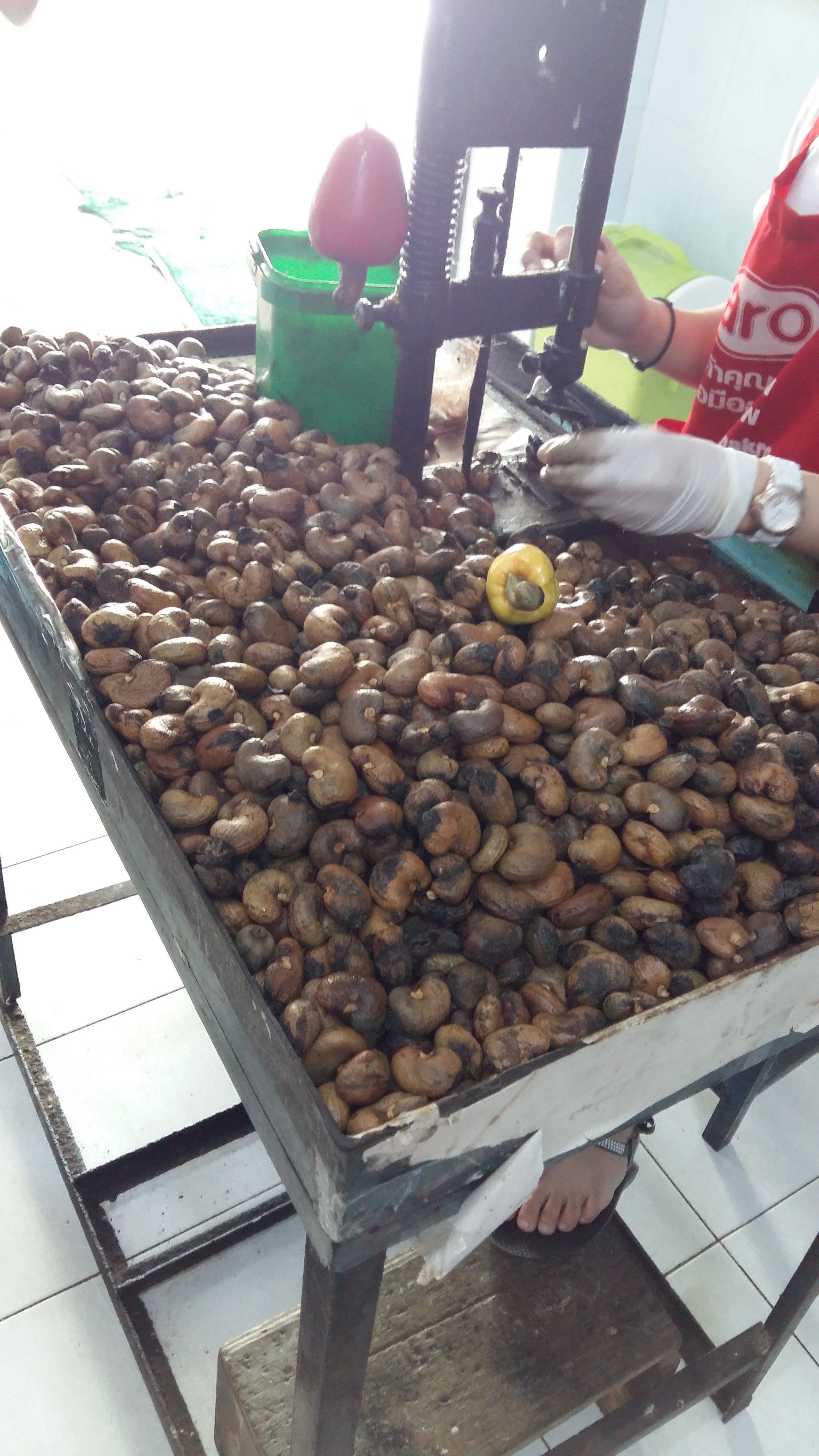 泰国普吉岛旅游攻略小视频,泰国普吉岛自由行旅游最新攻略