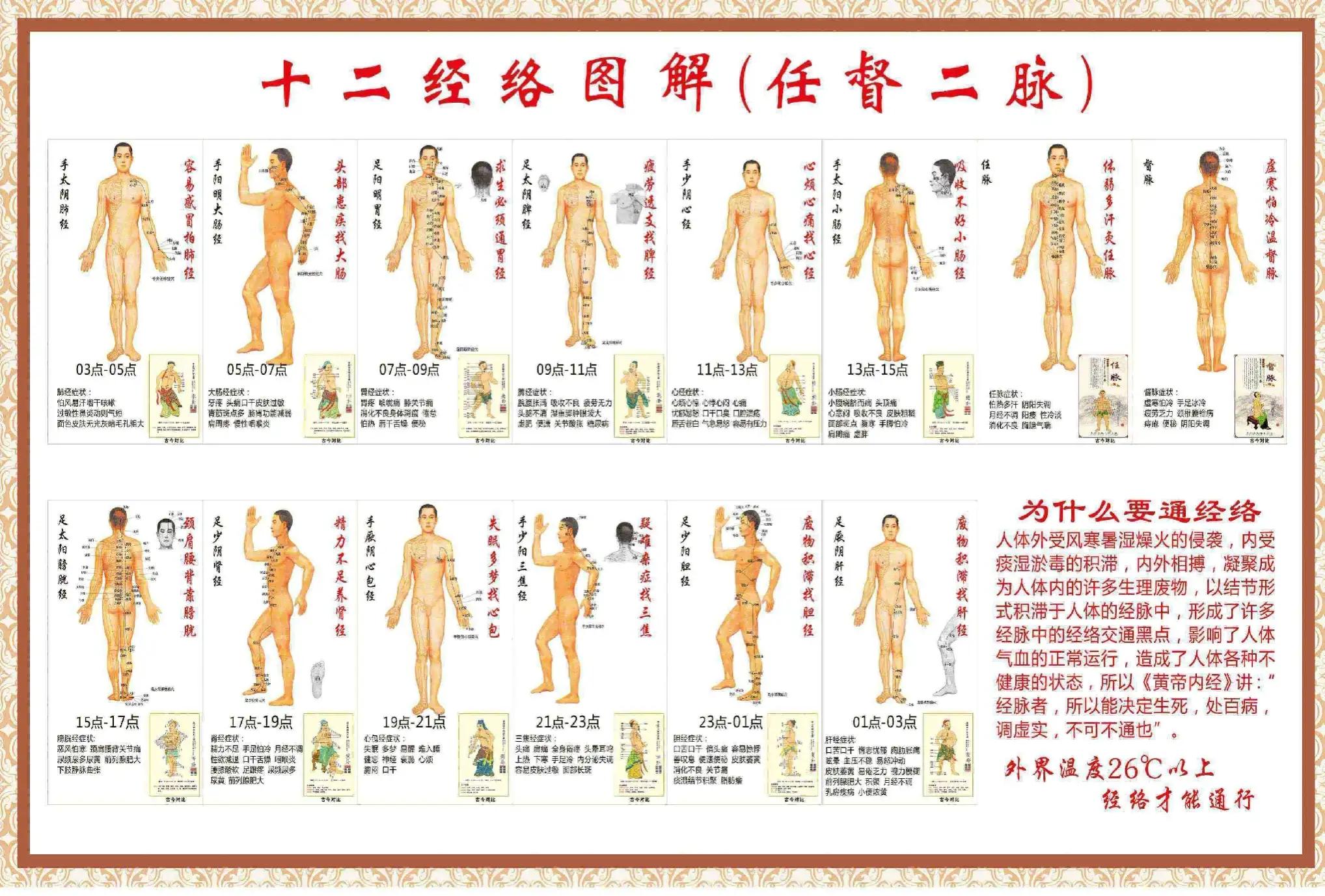 经络是人体的啥,经络是人体的筋吗