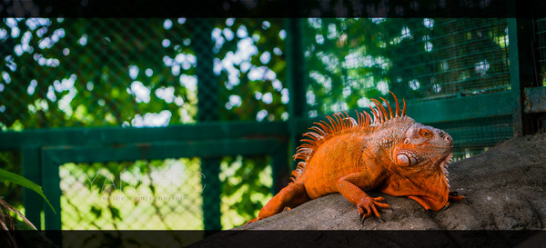 最新玩转泰国攻略,泰国旅游漫游