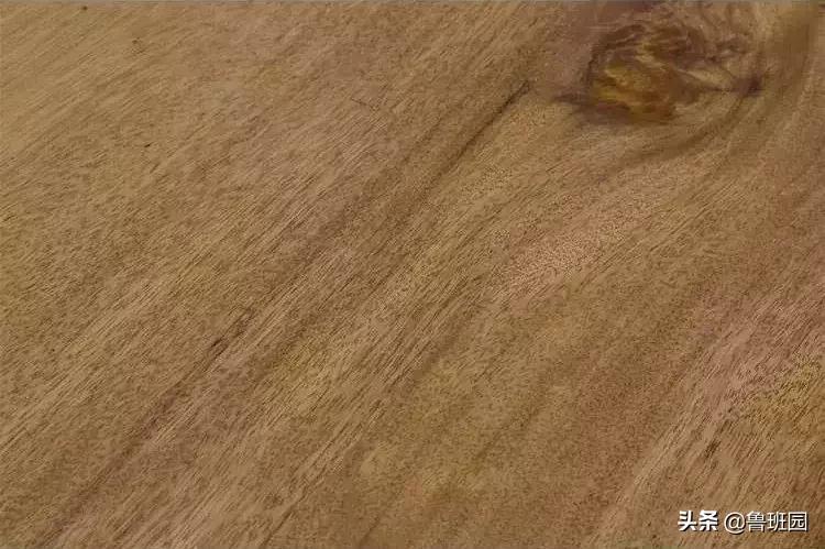 金丝柚木和榄仁木有什么区别,金丝柚木和缅甸柚木哪个好