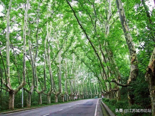 台湾学生拍电影,台湾mycity