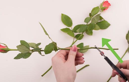 鲜花插花花艺课教程,婚礼花艺鲜花插花专业教程