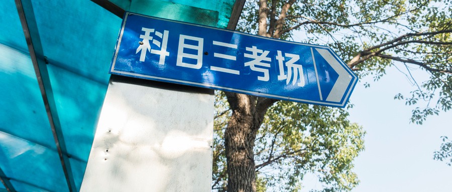 扣满12分违法未处理怎么办,扣12分驾驶证注销扣分还在吗