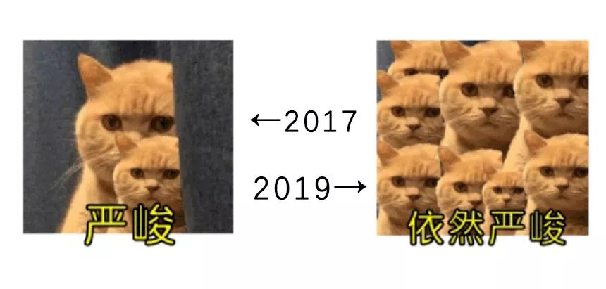 中国十大杀猪盘,2019杀猪盘上榜