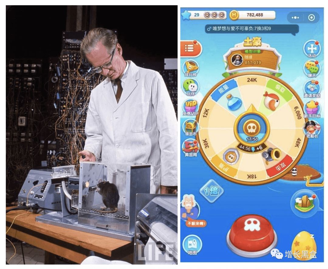 2018年最强黑客 (黑客增长跟踪报告应体现哪些数据)