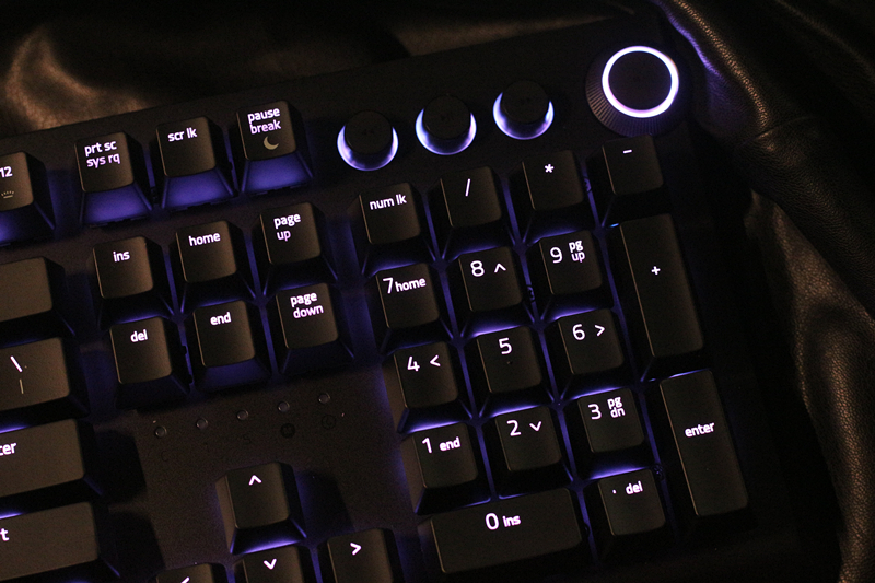 黑寡妇蜘蛛幻彩版和标准版,黑寡妇蜘蛛幻彩版灯光