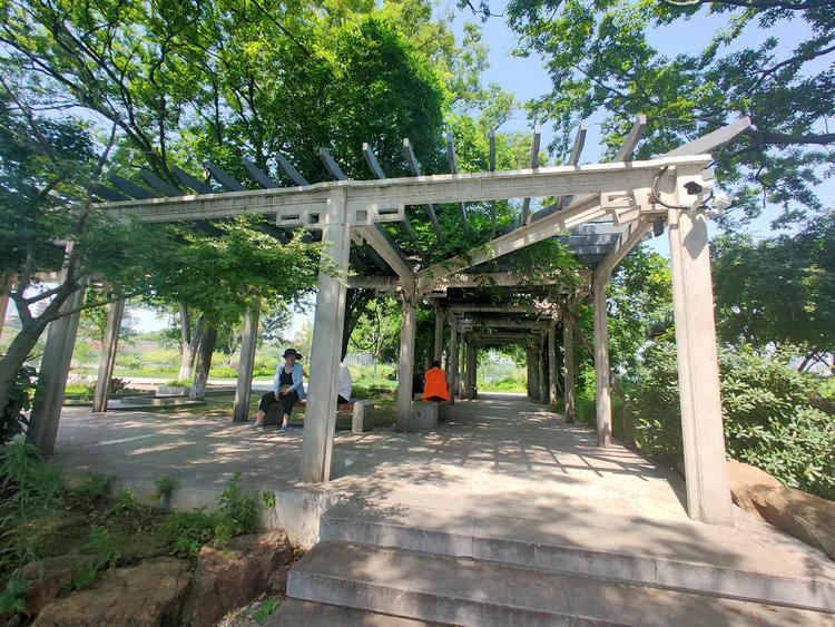 曾作为禁地，与外界隔绝二百六十多年的“玄武湖”，今日锣鼓喧天