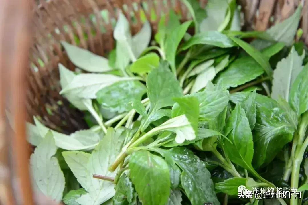 广东又因吃上热搜，竟然是因为这种“臭脚丫子”味的食物！