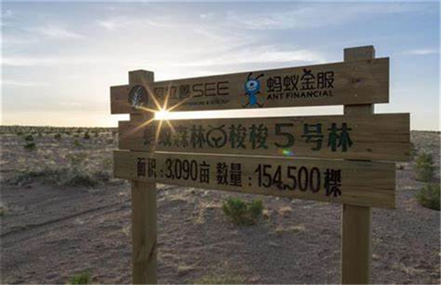 蚂蚁森林是国家出钱还是马云出钱,马云的蚂蚁森林现在进展怎么样了