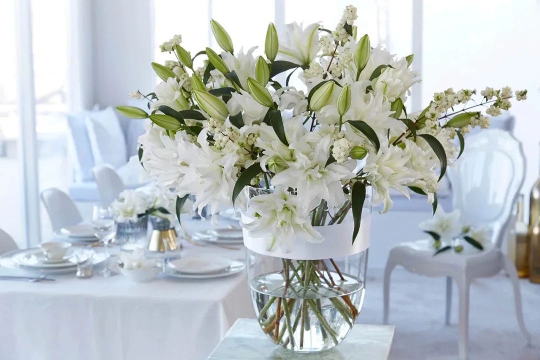 秋日赏花,百合必须要拥有姓名