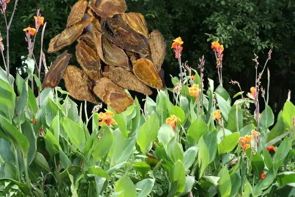 各种香料的属性与搭配,各种香料调料的配方共十八种