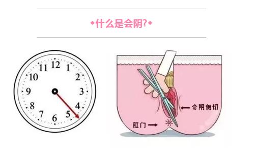 产妇顺产侧切的多吗,10个孕妇几个顺产几个剖宫产
