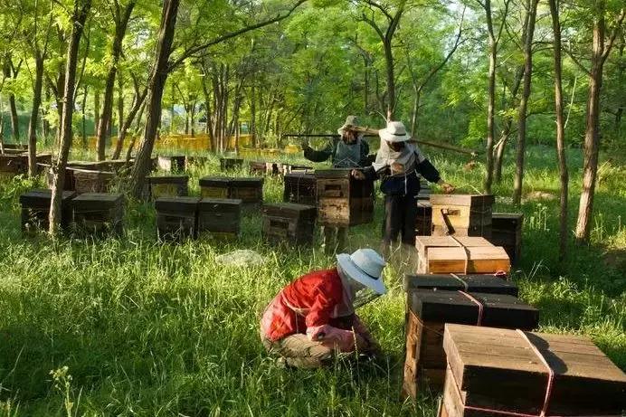 自产自销的蜂蜜属于三无产品吗,蜂蜜出售属于三无产品吗