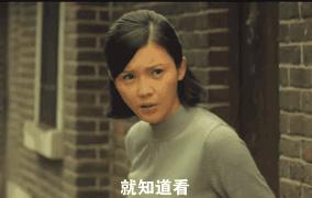 公狗和母狗有哪些区别,公狗和母狗有什么区别吗