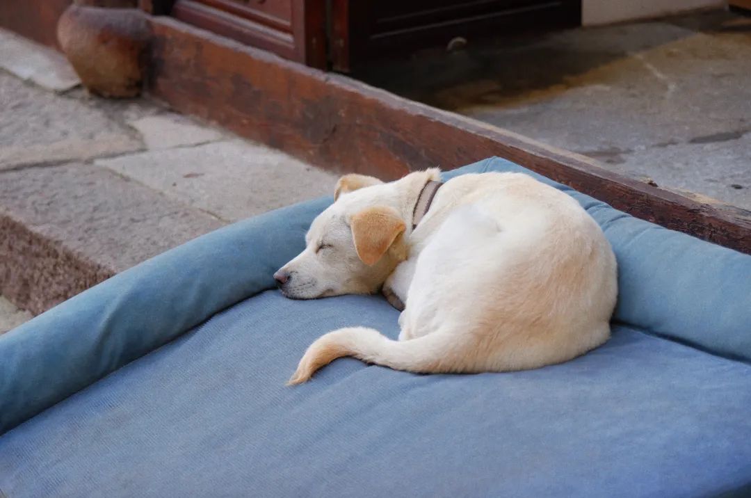 杭州老字号美食排行榜前十名,杭州西湖百年老字号美食